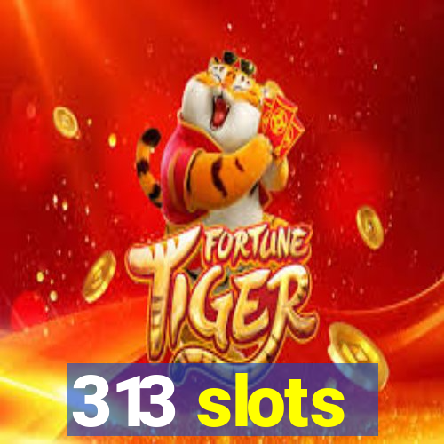 313 slots